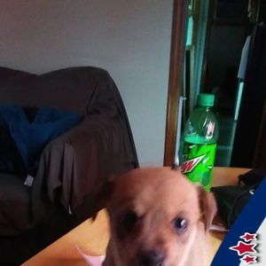 Meet your Posher, Tony